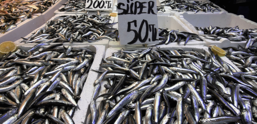 Trabzon’da hamsi yemeyen kalmayacak! Fiyatlar öyle düştü ki..
